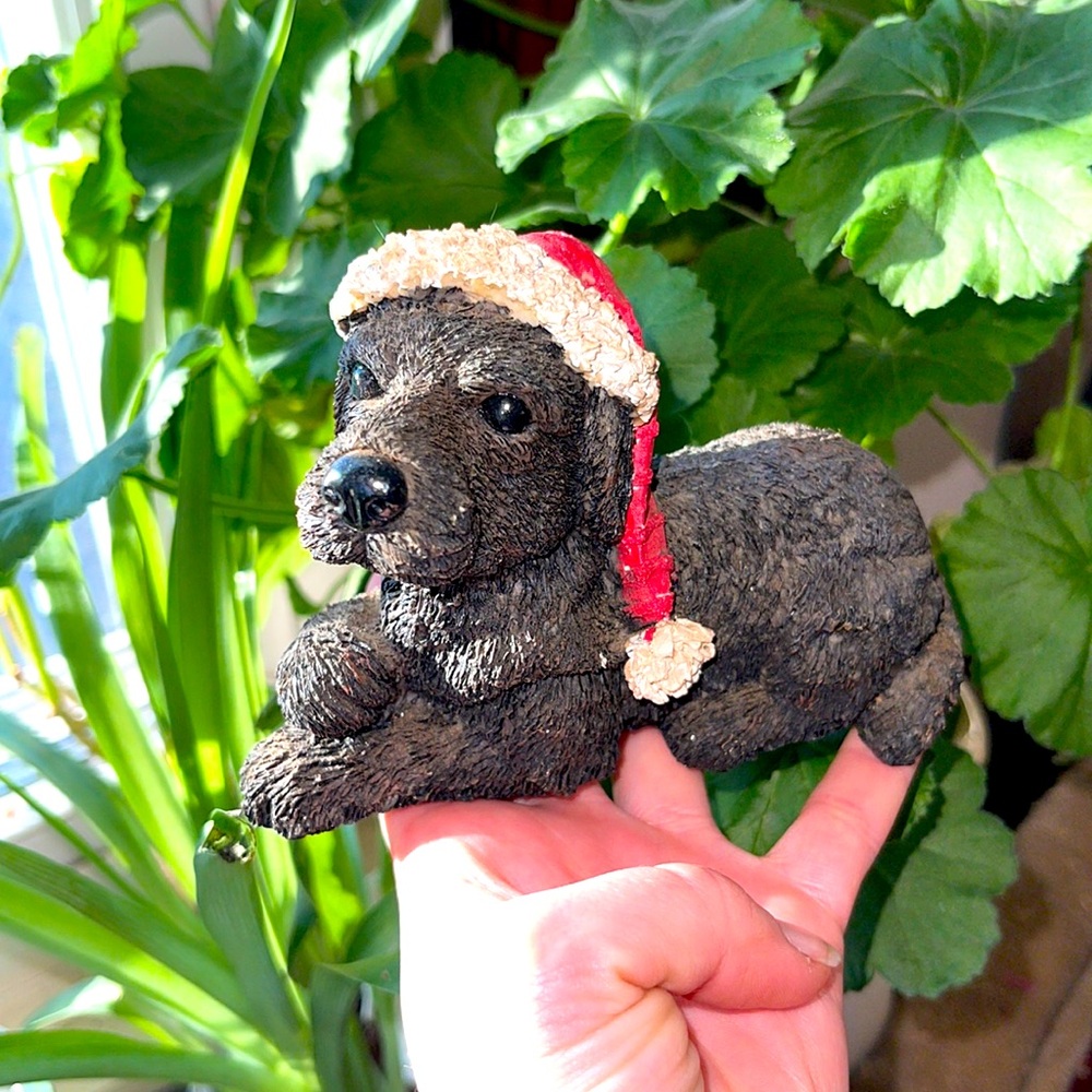 Christmas puppy